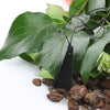 Shungite Pendant Bell