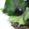 Shungite Pendant Fortune