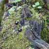 Shungite Earrings Stud